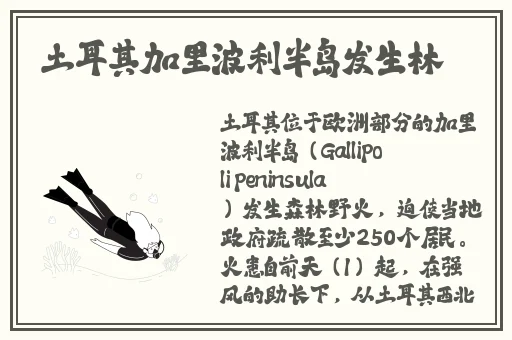 一区二区三区国产最好的精华液